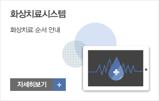 화상치료시스템